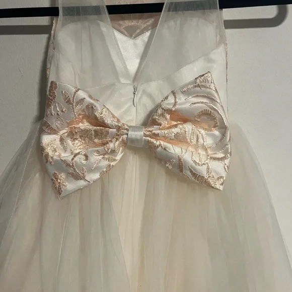 Elegant Cream and Peach Gold Floral Gown - Picture 9 of 12